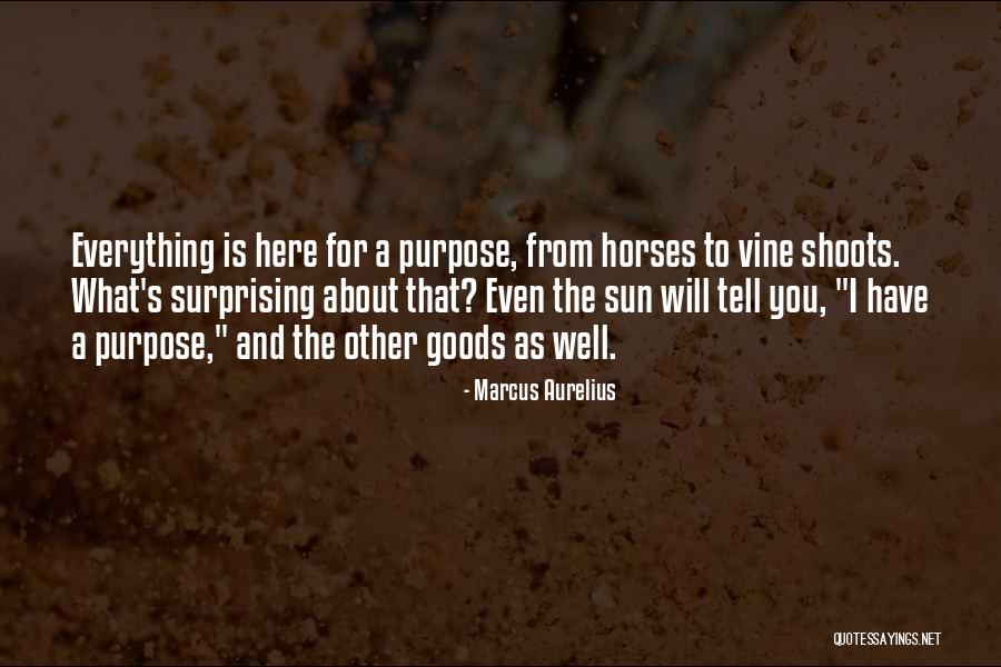 Purpose Is Everything Quotes By Marcus Aurelius Purpose Is Everything Quotes By Marcus Aurelius