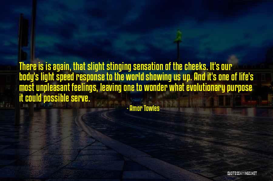 Purpose Of Feelings Quotes By Amor Towles Purpose Of Feelings Quotes By Amor Towles