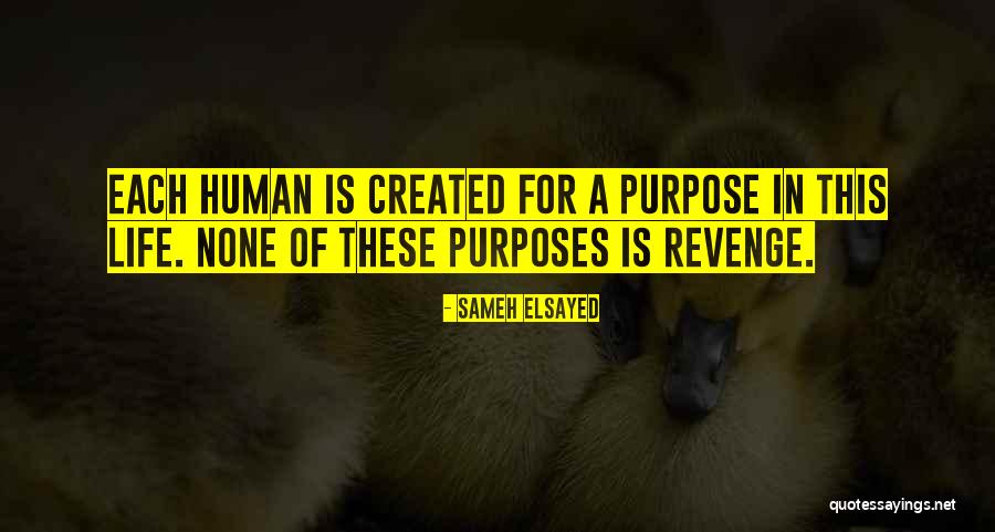 Purpose Of Human Life Quotes By Sameh Elsayed