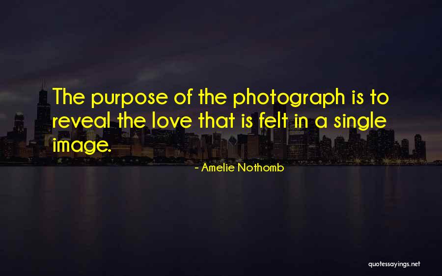 Purpose Of Love Quotes By Amelie Nothomb