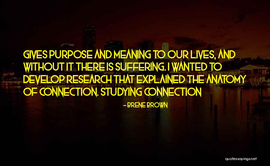 Purpose Of Research Quotes By Brene Brown