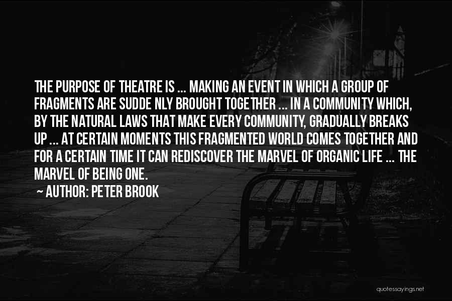 Purpose Of The Law Quotes By Peter Brook