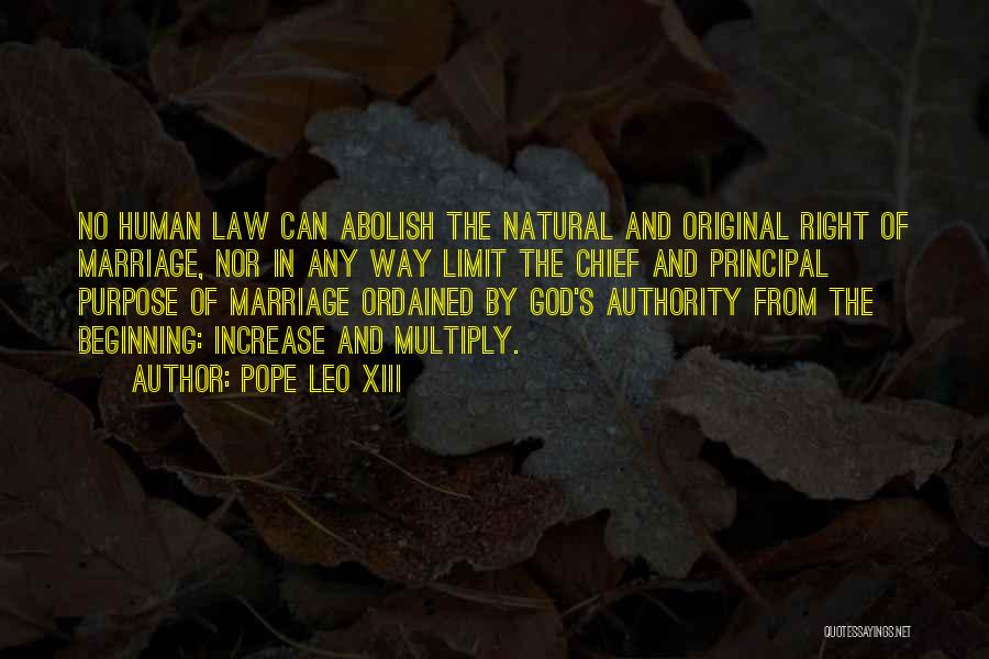 Purpose Of The Law Quotes By Pope Leo XIII