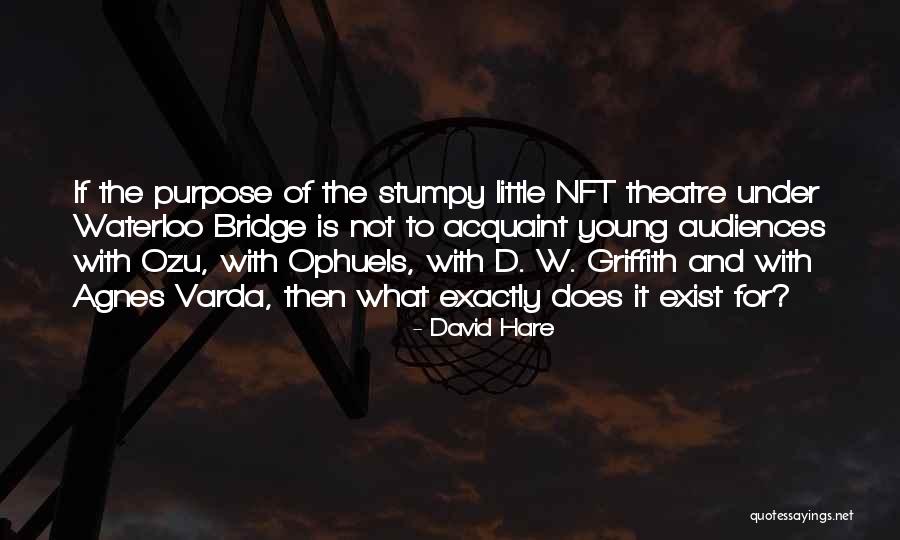 Purpose Of Theatre Quotes By David Hare