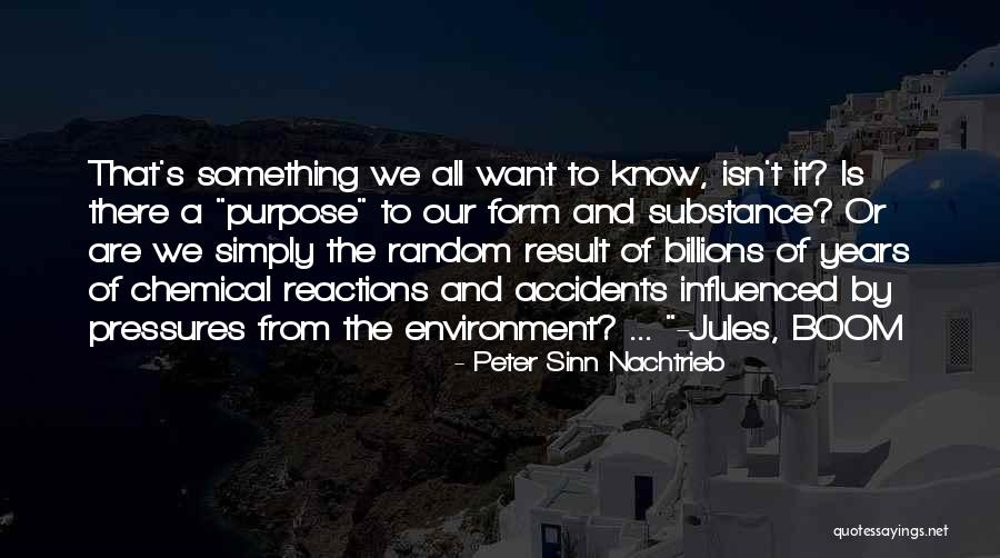 Purpose Of Theatre Quotes By Peter Sinn Nachtrieb