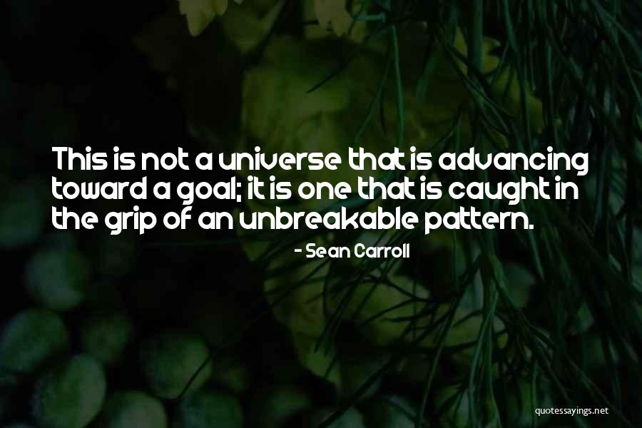 Purpose Of Universe Quotes By Sean Carroll Purpose Of Universe Quotes By Sean Carroll