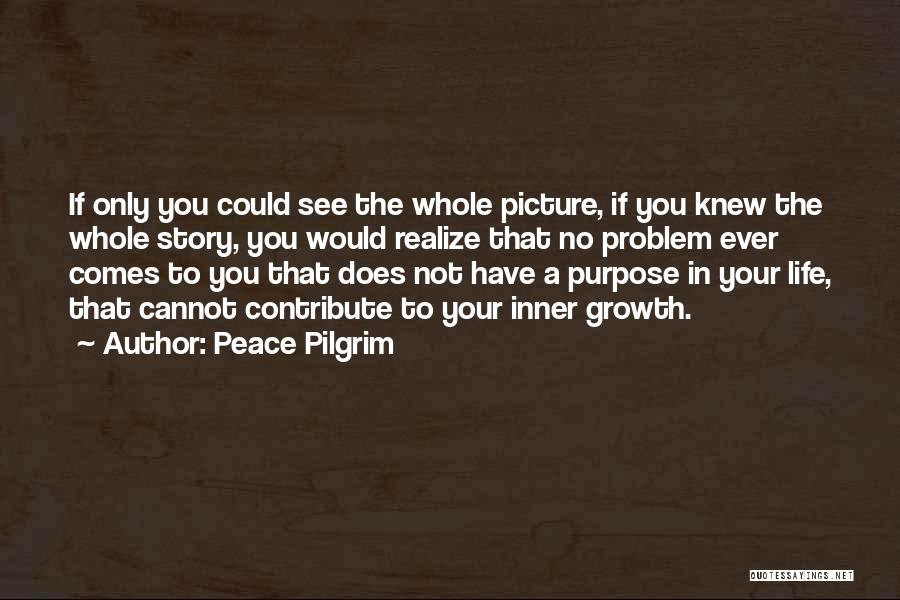 Purpose Picture Quotes By Peace Pilgrim