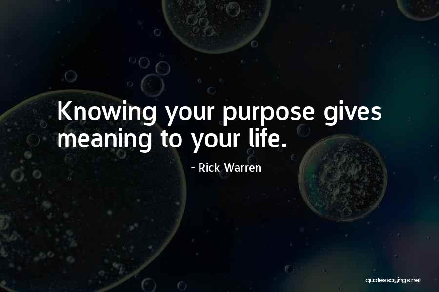 Purpose Rick Warren Quotes By Rick Warren