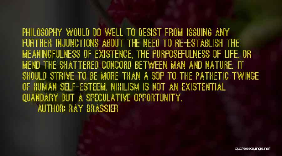 Purposefulness Quotes By Ray Brassier