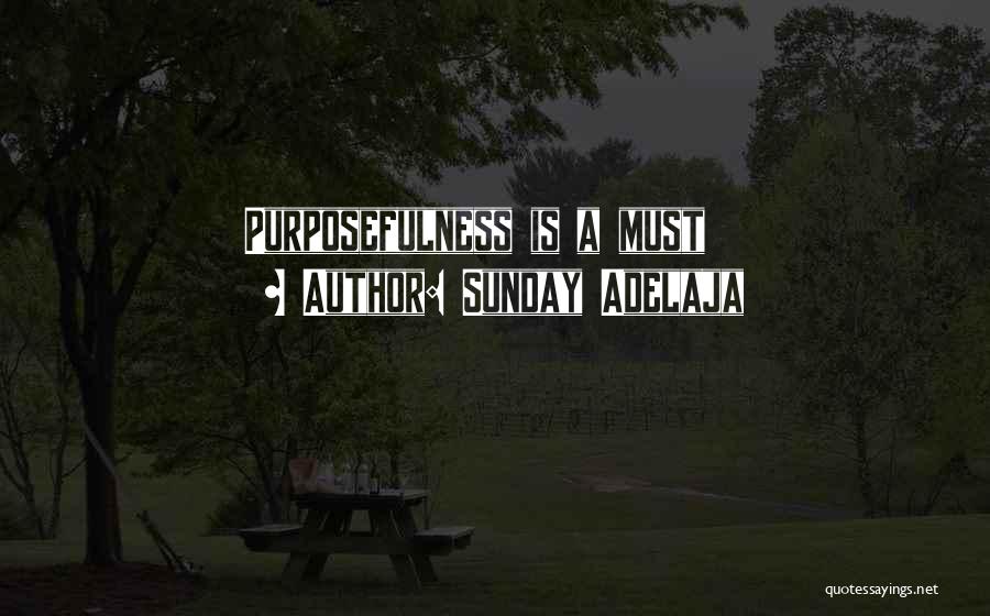Purposefulness Quotes By Sunday Adelaja