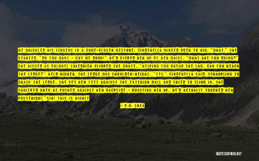 Purposely Quotes By K.M. Shea Purposely Quotes By K.M. Shea