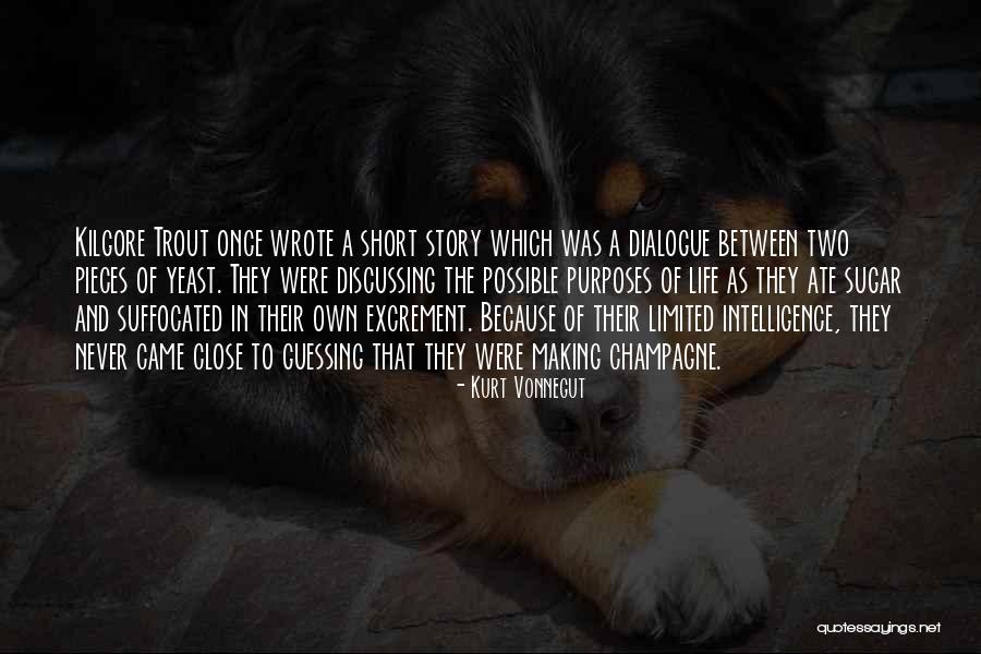 Purposes In Life Quotes By Kurt Vonnegut Purposes In Life Quotes By Kurt Vonnegut