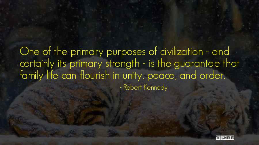 Purposes In Life Quotes By Robert Kennedy Purposes In Life Quotes By Robert Kennedy