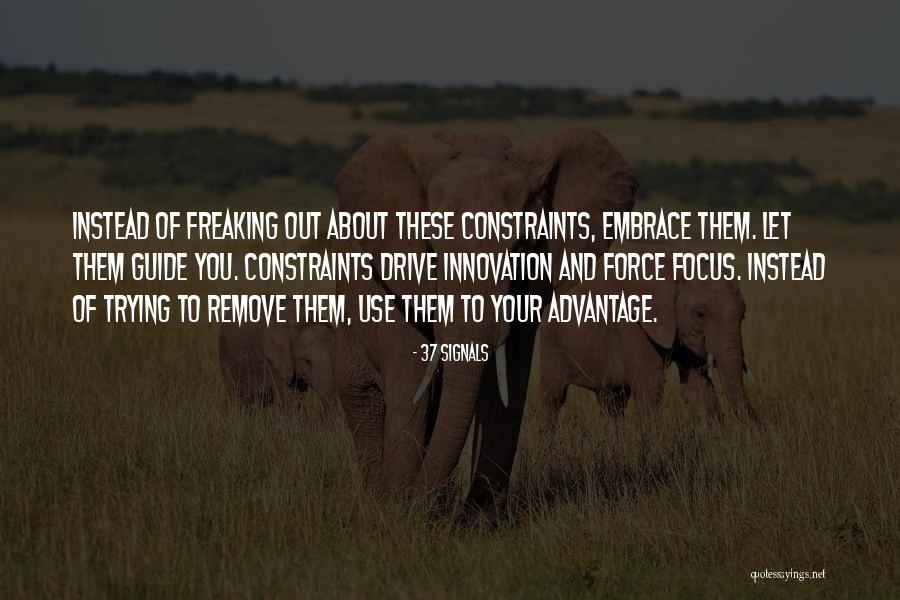 Purrs Of Hope Quotes By 37 Signals Purrs Of Hope Quotes By 37 Signals