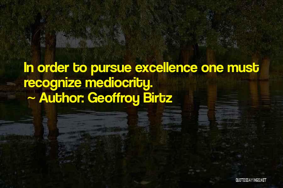Pursue Excellence Quotes By Geoffroy Birtz