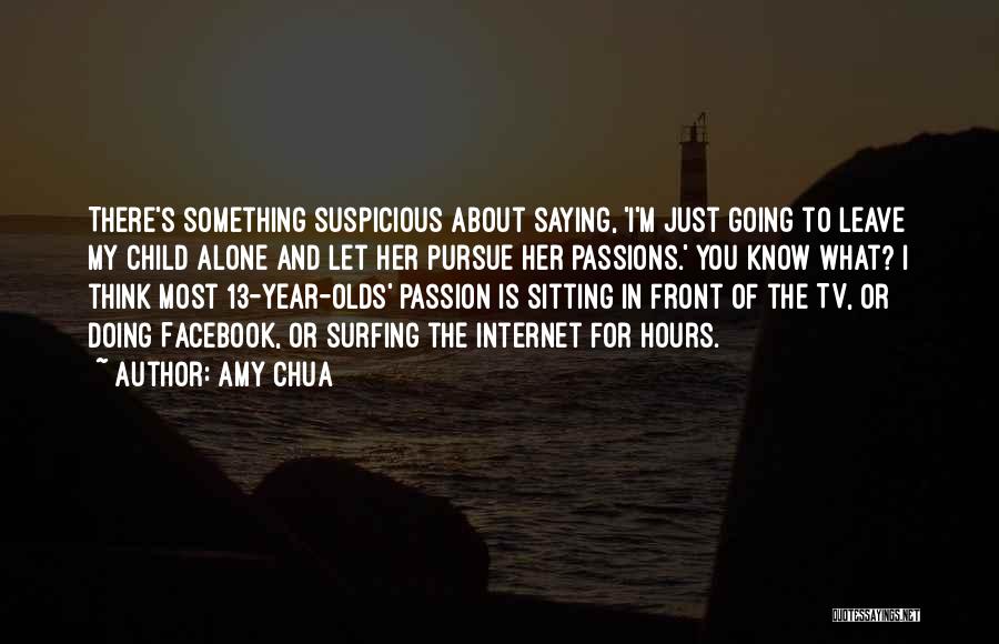 Pursue Your Passions Quotes By Amy Chua