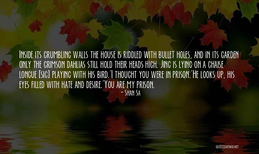 Pursuer Distancer Quotes By Shan Sa