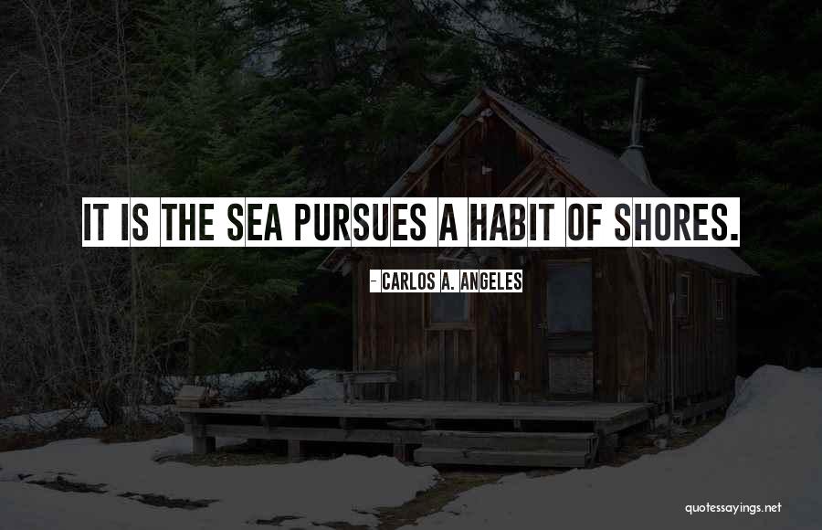 Pursues Quotes By Carlos A. Angeles Pursues Quotes By Carlos A. Angeles