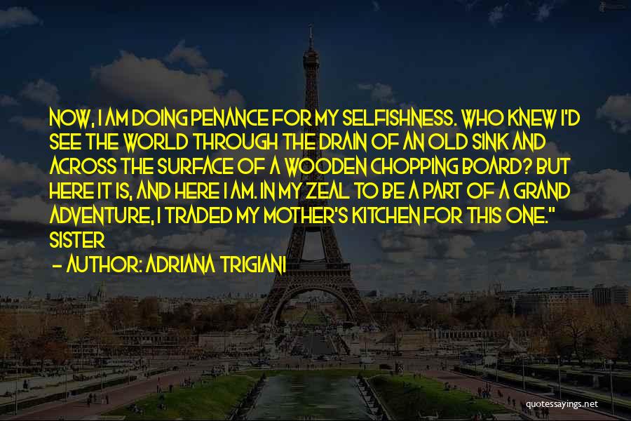 Pursueth Quotes By Adriana Trigiani