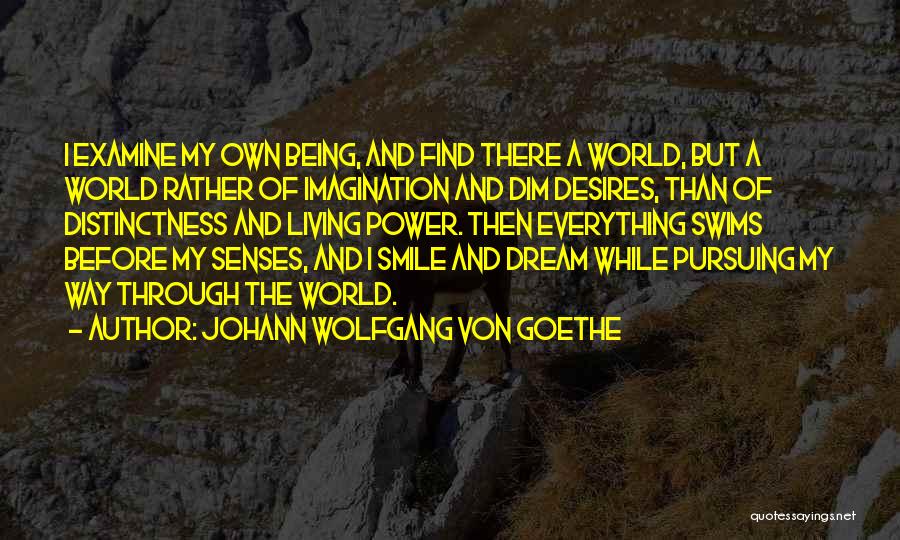 Pursuing A Dream Quotes By Johann Wolfgang Von Goethe