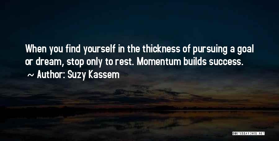 Pursuing A Dream Quotes By Suzy Kassem