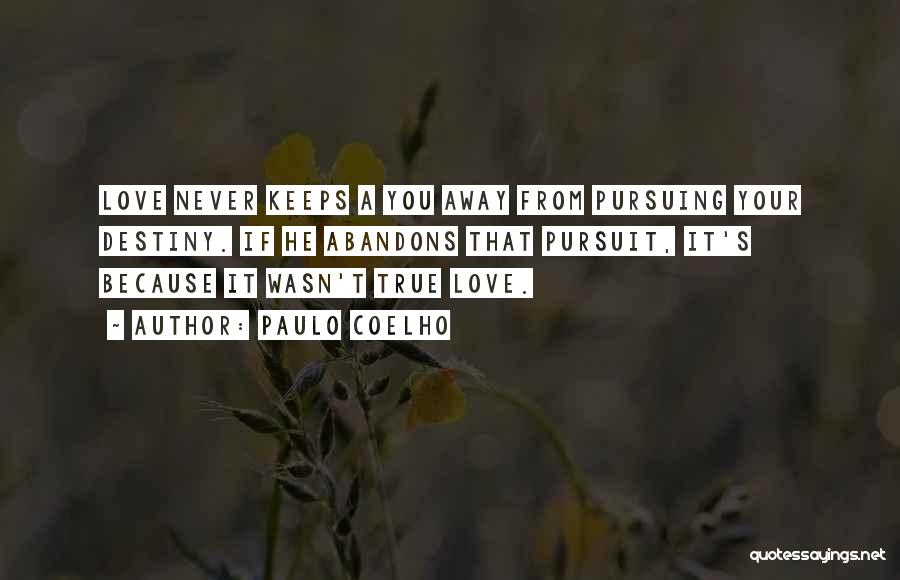 Pursuing Love Quotes By Paulo Coelho