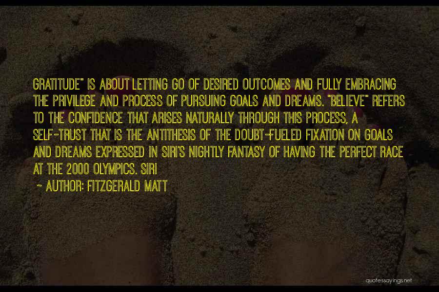 Pursuing My Dreams Quotes By Fitzgerald Matt