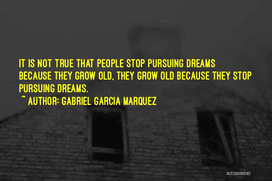 Pursuing My Dreams Quotes By Gabriel Garcia Marquez