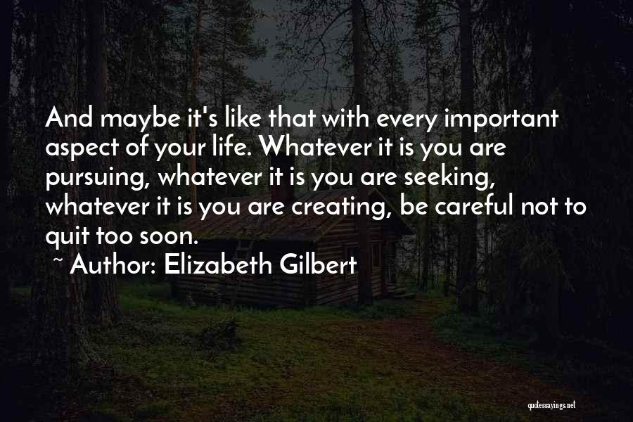 Pursuing Someone Quotes By Elizabeth Gilbert