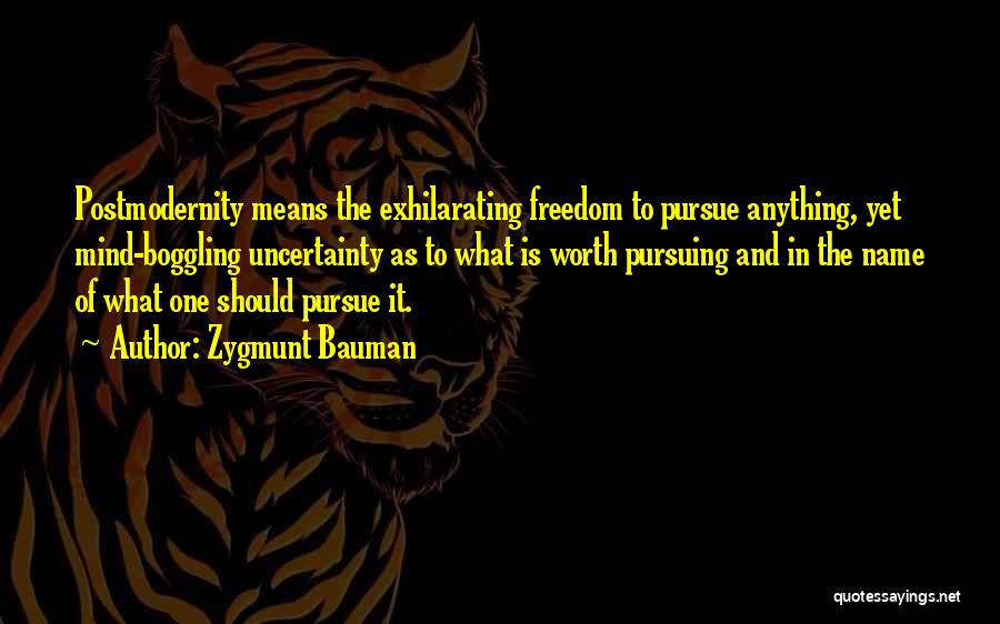 Pursuing Someone Quotes By Zygmunt Bauman