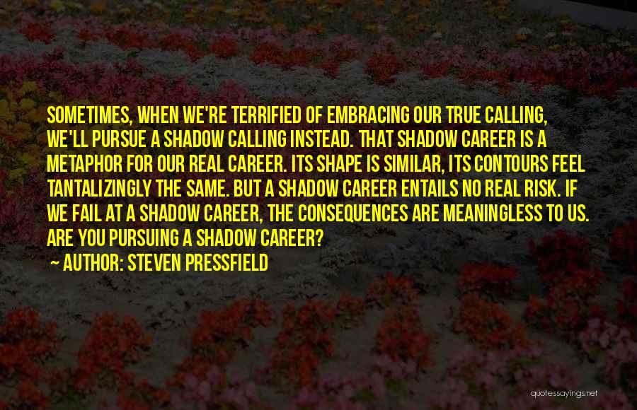 Pursuing Your Career Quotes By Steven Pressfield