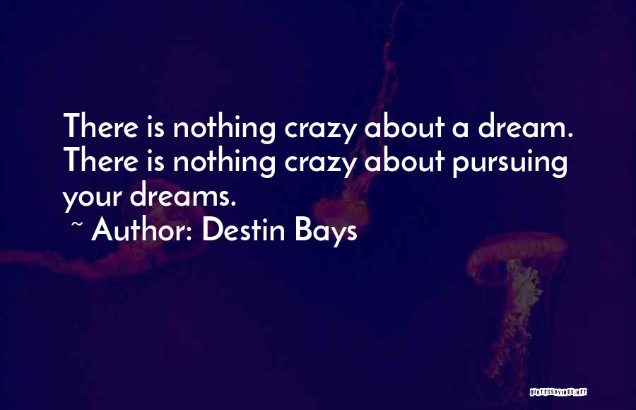 Pursuing Your Dream Quotes By Destin Bays