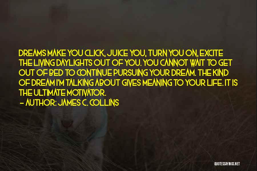 Pursuing Your Dream Quotes By James C. Collins