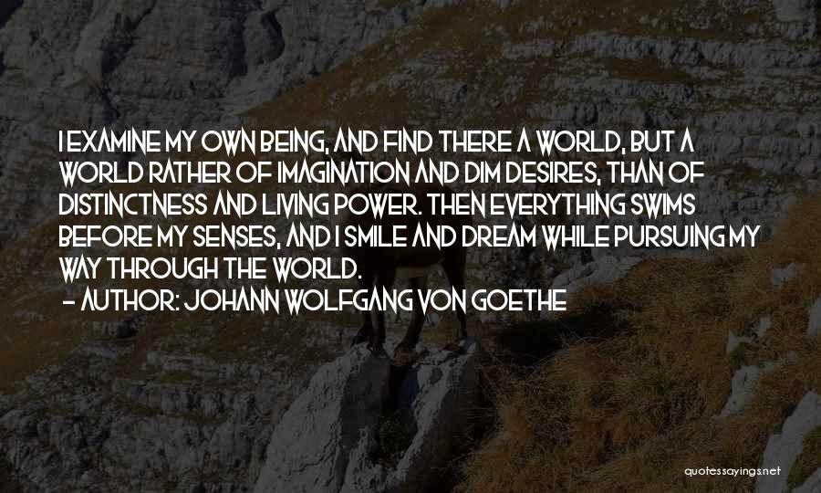 Pursuing Your Dream Quotes By Johann Wolfgang Von Goethe