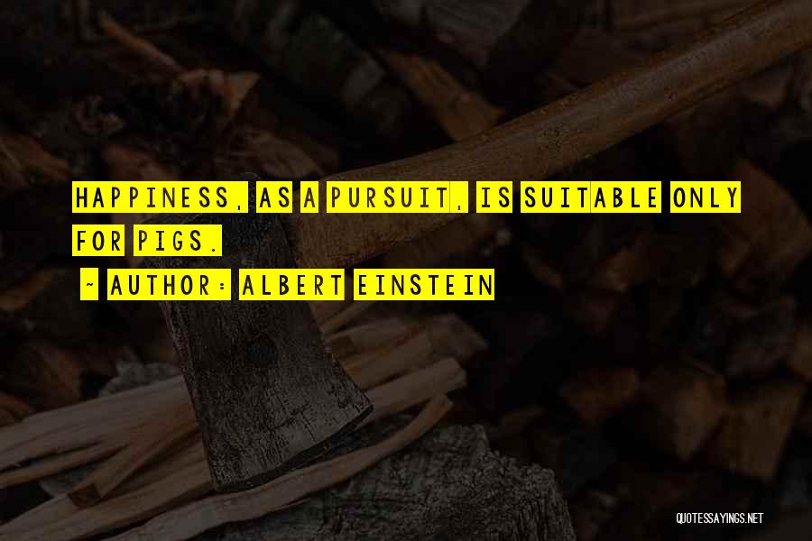 Pursuit For Happiness Quotes By Albert Einstein