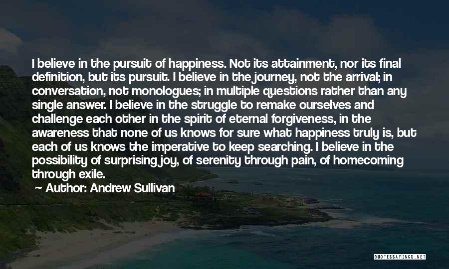 Pursuit For Happiness Quotes By Andrew Sullivan