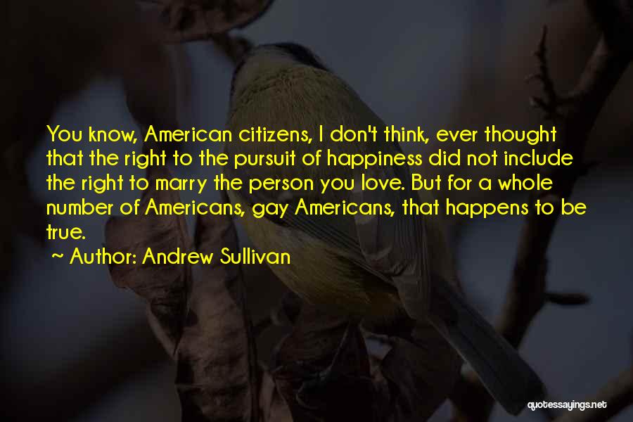 Pursuit For Happiness Quotes By Andrew Sullivan