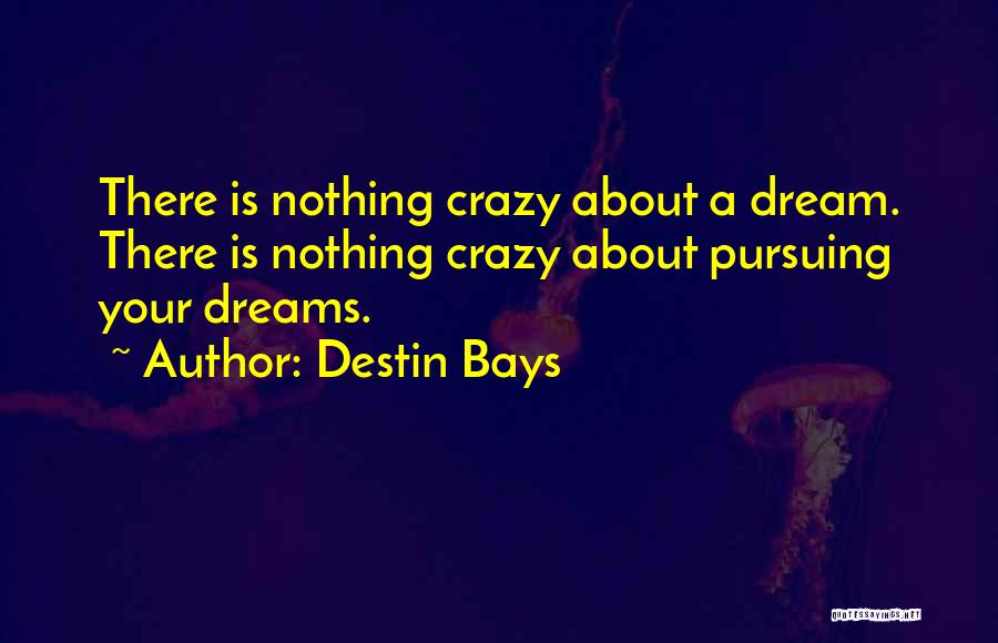 Pursuit Of A Dreams Quotes By Destin Bays