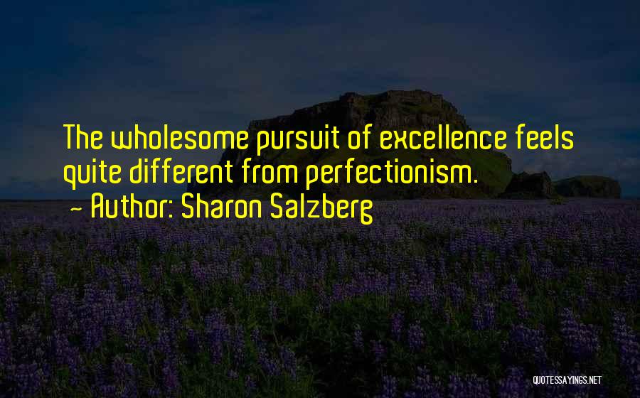 Pursuit Of Excellence Quotes By Sharon Salzberg