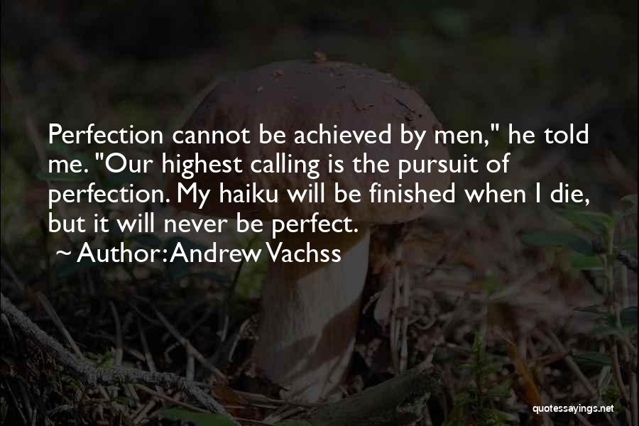 Pursuit Of Perfection Quotes By Andrew Vachss