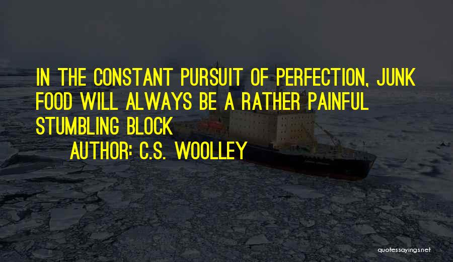 Pursuit Of Perfection Quotes By C.S. Woolley