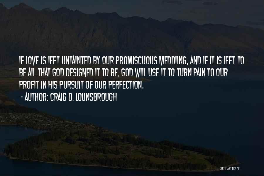 Pursuit Of Perfection Quotes By Craig D. Lounsbrough