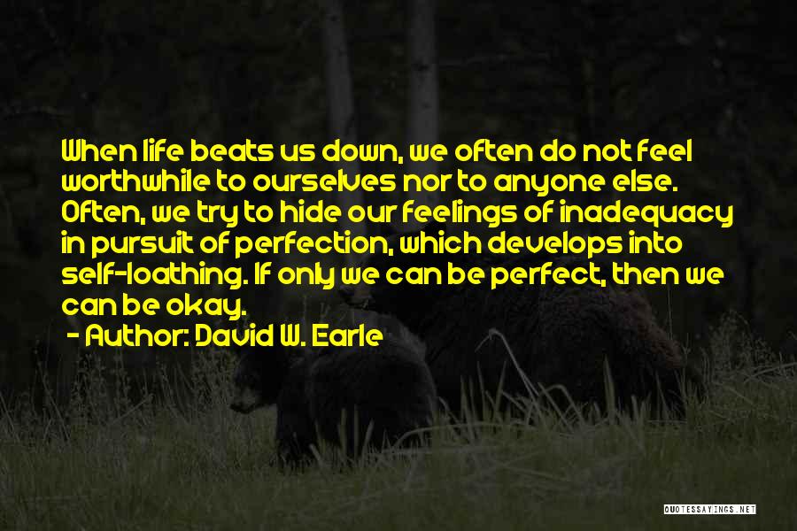 Pursuit Of Perfection Quotes By David W. Earle