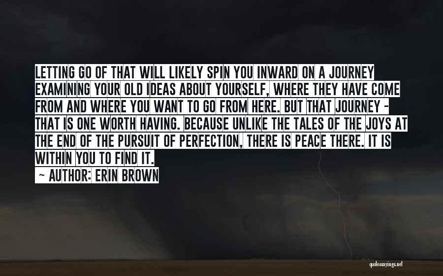 Pursuit Of Perfection Quotes By Erin Brown