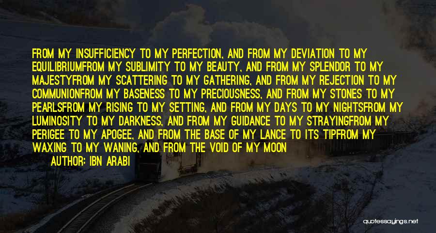 Pursuit Of Perfection Quotes By Ibn Arabi