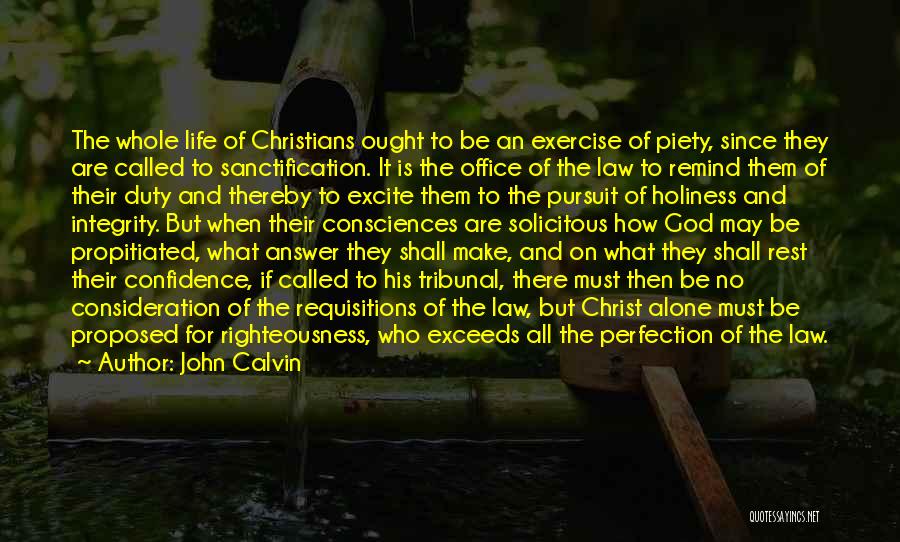 Pursuit Of Perfection Quotes By John Calvin