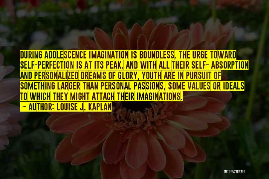 Pursuit Of Perfection Quotes By Louise J. Kaplan