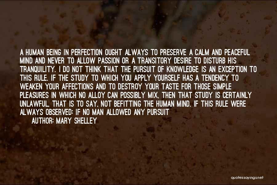 Pursuit Of Perfection Quotes By Mary Shelley