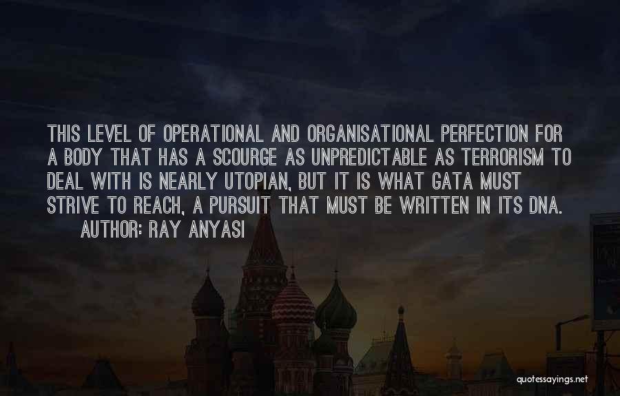 Pursuit Of Perfection Quotes By Ray Anyasi