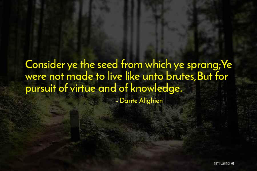 Pursuit Of Virtue Quotes By Dante Alighieri Pursuit Of Virtue Quotes By Dante Alighieri